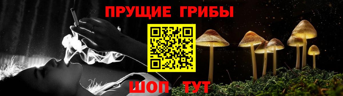 Галлюциногенные грибы GOLDEN TEACHER Октябрьский